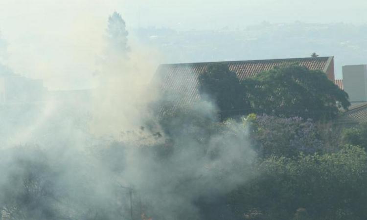 Bombeiros combatem incêndio na Mata do Cercadinho - Leonardo Lima/Divulgação