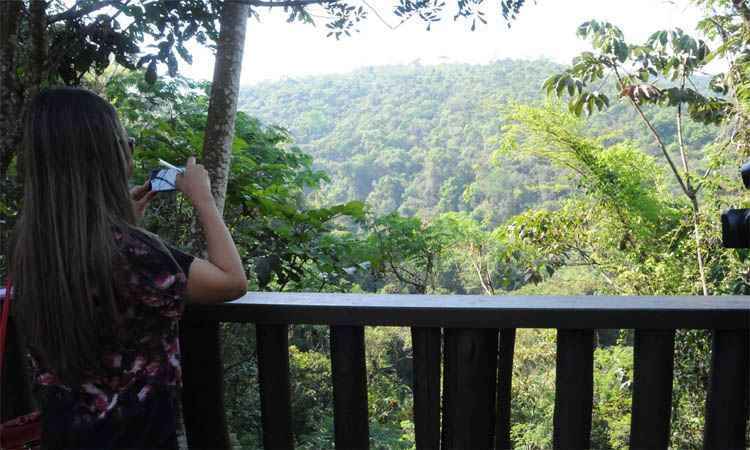 Reserva da Mata do Jambreiro tem trilhas e árvores em extinção; assista ao vídeo - Paulo Filgueiras/EM/DA Press