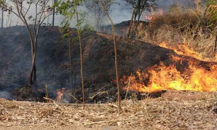 Bombeiros e brigadistas combatem incêndio no Pico da Ibituruna - Thiara Vieira Dos Santos