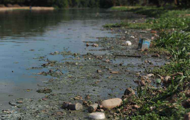 Licitação para limpeza das águas da Lagoa da Pampulha é suspensa - Leandro Couri/EM/D.A Press