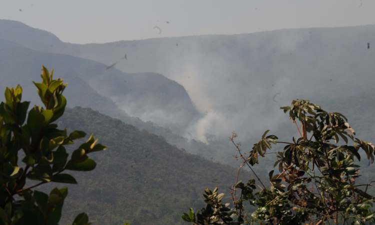 Governo já põe em ação plano emergencial para combate a incêndios em Minas  - Cristina Horta/EM/D.A Press