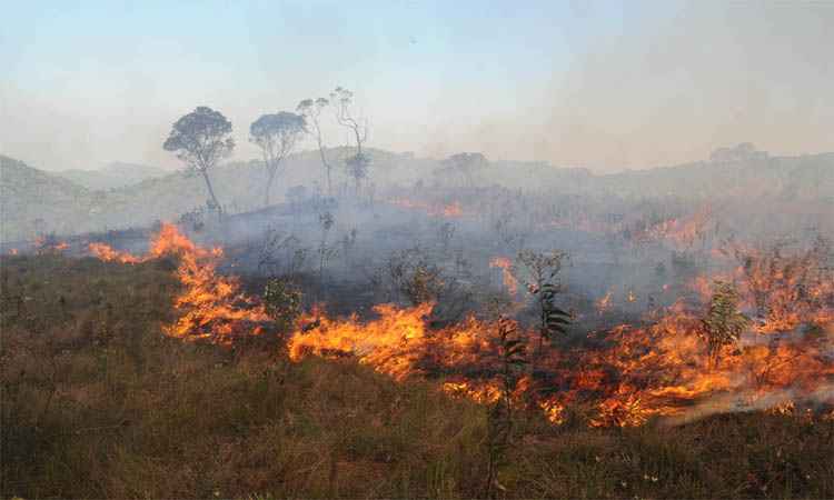 Ministério Público aponta falta de planejamento e investimento ambiental em Minas - Beto Novaes/EM/DA Press - 14/10/15