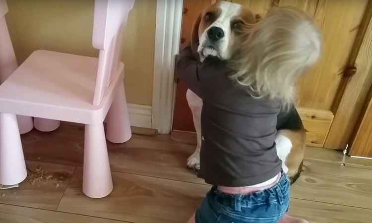 Cão quebra tigela favorita de garotinha, mas ainda assim é abraçado e consolado - Reprodução/Youtube