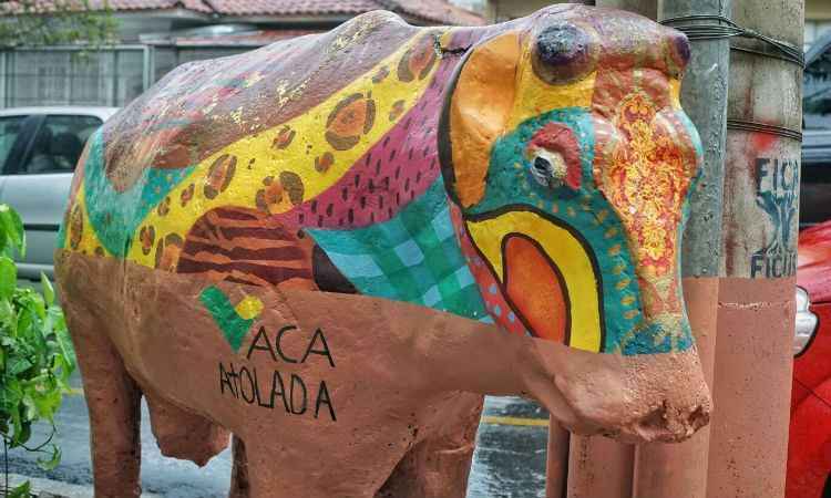 Vaquinha da Rua Leopoldina amanhece pintada em protesto ao desastre ambiental de Mariana - Divulgação