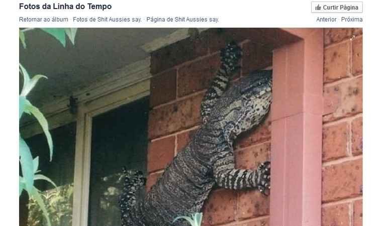 Lagarto de 1,5m aparece na parede da casa de australiano  - Reprodução/Facebook 