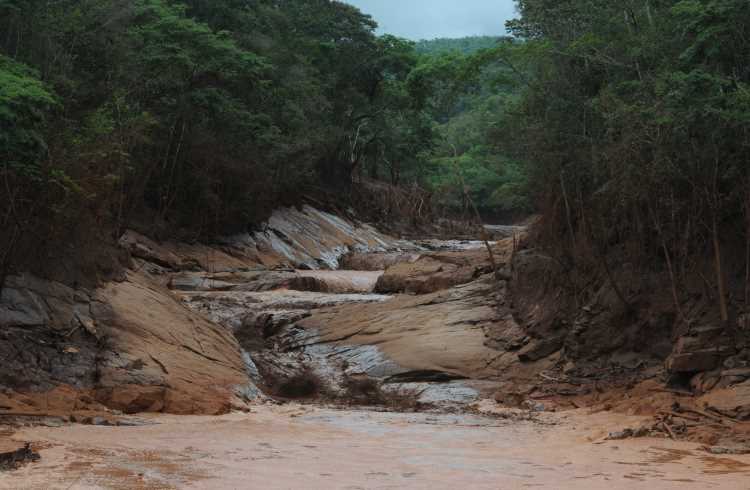 Lama de rejeitos da barragem de Fundão destruiu 324 hectares de Mata Atlântica