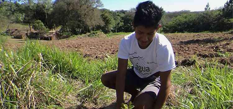 Projeto recupera biodiversidade em aldeias guaranis no Rio Grande do Sul - Denise Wolf/Divulgação do Acervo Iecam/Agência Petrobras