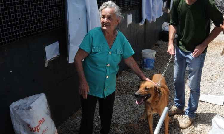 Animais continuam a ser recolhidos em Mariana e Samarco assina acordo com MPMG - Tulio Santos/EM/D.A/Press
