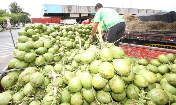 Vedete do verão,  água de coco dribla a crise e vendas crescem 16% - Edésio Ferreira/EM/D.A Press