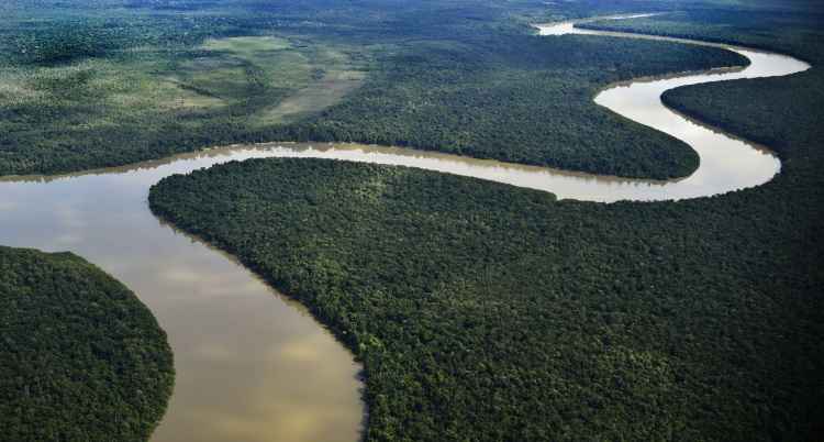 Floresta Amazônica e caatinga estão entre as áreas mais vulneráveis às mudanças do clima - Luis Robayo/AFP 28/11/2015
