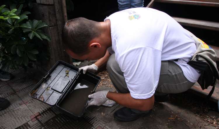 Agentes comunitários da saúde de BH ameaçam parar de combater o Aedes aegypti - Edesio Ferreira/EM/D.A Press