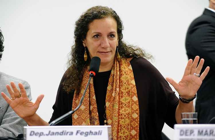 Governistas articulam candidatura avulsa para Jandira Feghali presidir comissão -  Alexandra Martins/Câmara dos Deputados 