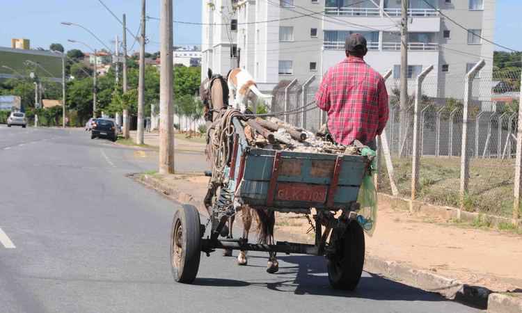 Prefeitura cria normas rígidas para circulação de carroças em Belo Horizonte - Ramon Lisboa/EM/D.A PRESS