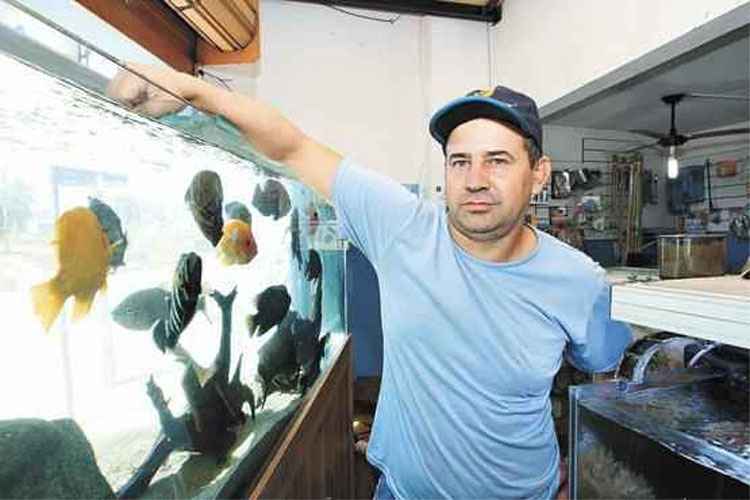 Crise econômica não afeta  comércio de peixes ornamentais em Minas - Edésio Ferreira/EM/F.A Press