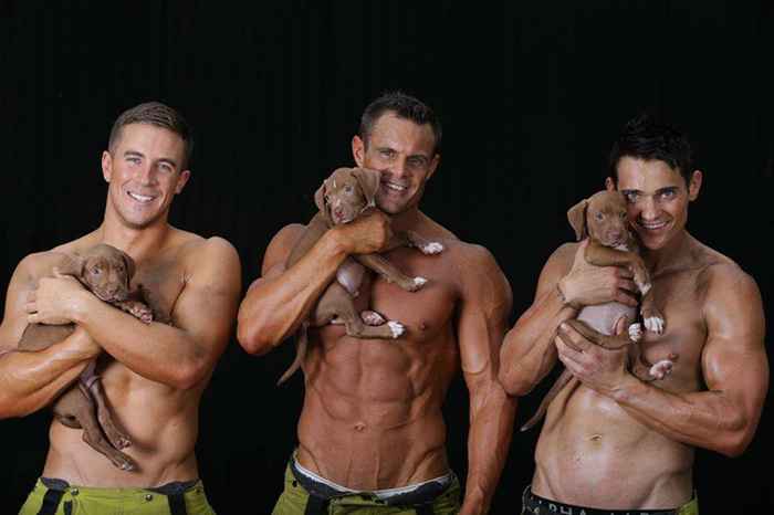 Fotos: bombeiros posam sem roupa e afagam pets para incentivar adoção de animais - Firefighters Calendar/ Reprodução