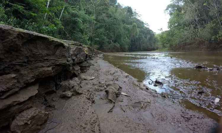 Expedição pelo Rio Gualaxo do Norte mostra impactos da lama vinda de Mariana - Leandro Couri/Em/D.a press