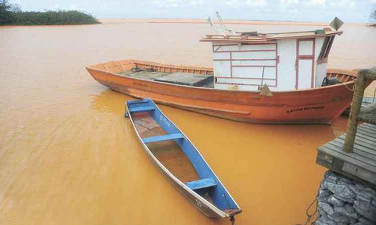 Rompimento de barragem piorou situação da mata ciliar em todo o Rio Doce - Leandro Couri/EM/DA Press