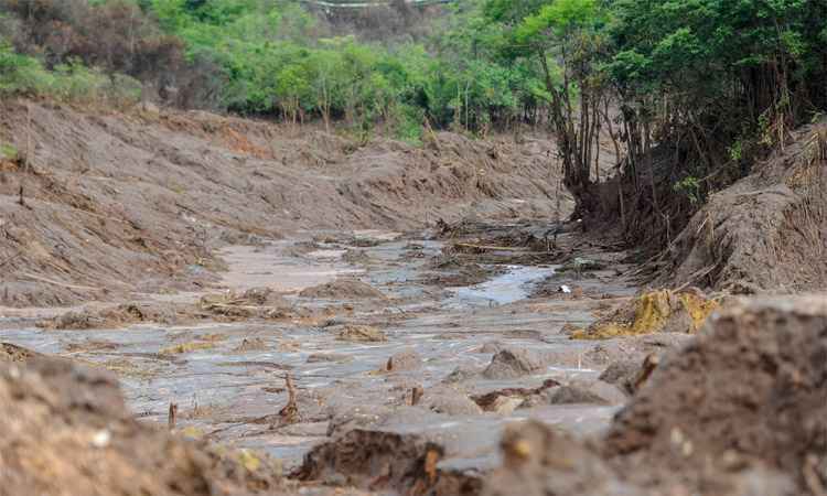 Lama da Barragem do Fundão deixou rastro de destruição no Rio Gualaxo do Norte - Leandro Couri/EM/DA Press