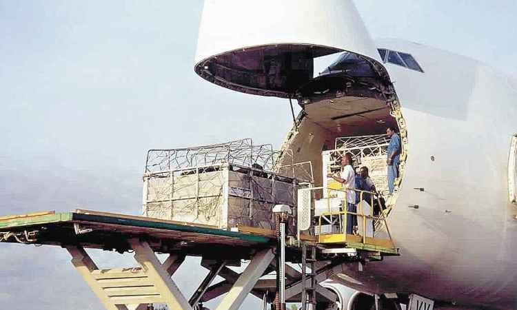 Brasil busca oportunidades no embarque de bois para abate - Fotos: Agroexport/Divulgação