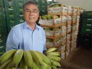  "Rei da banana" está fora da disputa pela Prefeitura de Janaúba - Rogeriano Cardoso/Esp. EM/D.A Press