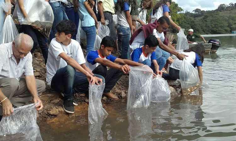 Autoridades de Araguari promovem a soltura de 16 mil alevinos no Rio Paranaíba - Corpo de Bombeiros de Araguari/Divulgação
