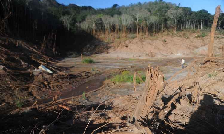 Problemas em três etapas e negligência da Samarco causaram tragédia de Mariana - Leandro Couri/EM/D.A PRESS