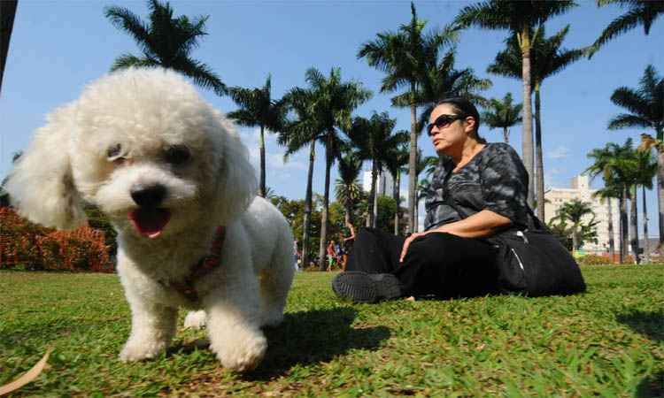 Projeto de Lei prevê a instalação de lixeiras para descarte de cocô de cães nas praças de BH - Euler Júnior/EM/DA Press