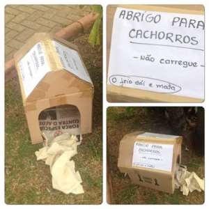 Prefeitura de Contagem retira casinhas de cachorros de praças e revolta protetores dos animais - Divulgação
