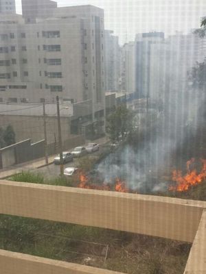 Incêndio em lote vago deixa moradores do Bairro Buritis apreensivos - Flávia Russo/Divulgação