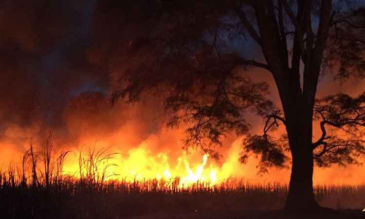 Incêndio destrói canavial em Tupaciguara, no Triângulo Mineiro - Corpo de Bombeiros/Divulgação