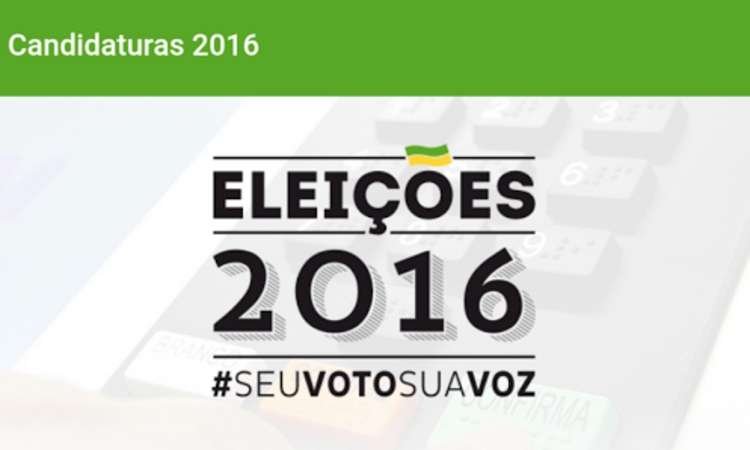 Apuração dos votos poderá ser acompanhada pelo telefone celular