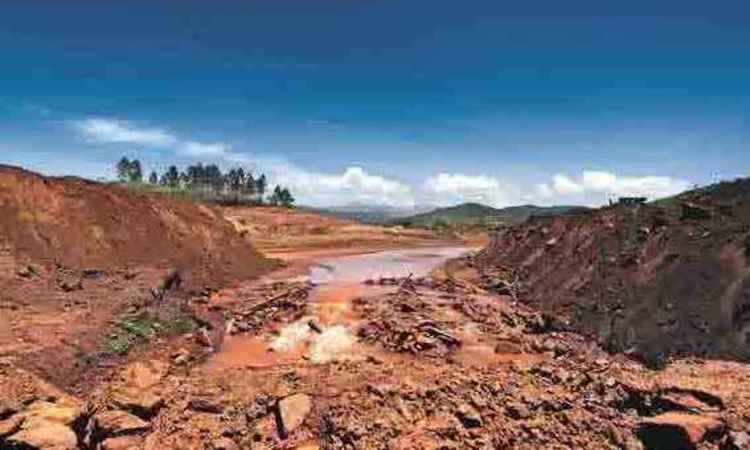 Especialistas cobram medidas eficazes para corrigir danos ambientais causados pelo desastre de Mariana