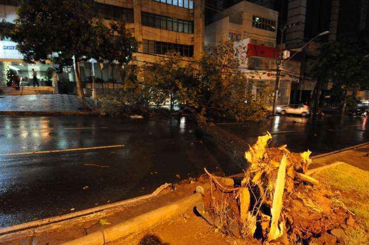 Em três dias de chuva, Corpo de Bombeiros recebeu 23 solicitações de corte de árvore - Marcos Vieira/EM/D.A Press