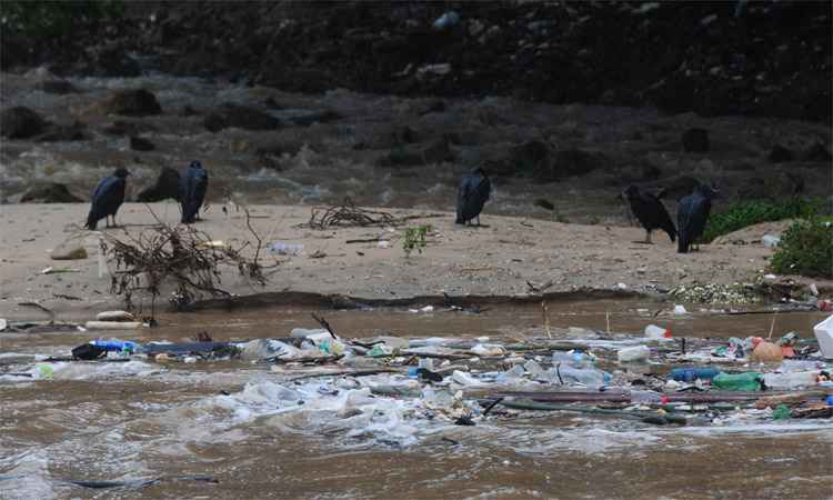 Lixo jogado nas ruas pela população de BH provoca enchentes e destruição - Leandro Couri/EM/DA Press