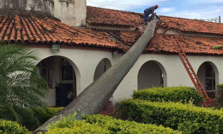 Palmeira imperial cai sobre telhado de aeroporto no Triângulo Mineiro - Corpo de Bombeiros/Divulgação