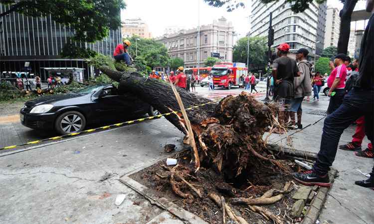 Prefeitura de BH vai cortar ou podar 50 árvores no caminho dos blocos de carnaval - Gladyston Rodrigues/EM/D.A Pres