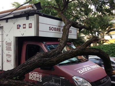 Food truck é atingido por árvore no Lourdes - Antônio Mascarenhas/Divulgação
