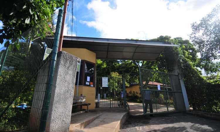 PBH fecha parque depois de encontrar terceiro macaco morto com suspeita de febre amarela - Alexandre Guzanshe/EM/D.A. Press