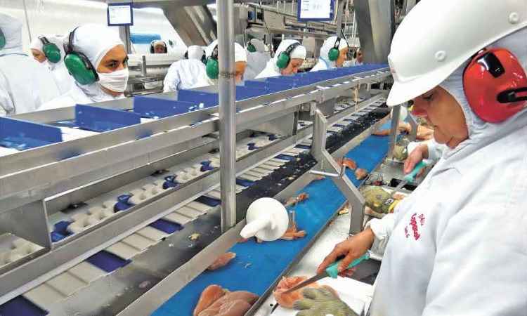 Técnicos europeus vão auditar fiscalização e controle de carne do Brasil - ANPr/Sindiavipar/Divulgação