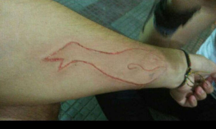 MP recomenda que escolas orientem sobre uso seguro da internet após Baleia Azul - Reprodução/Internet