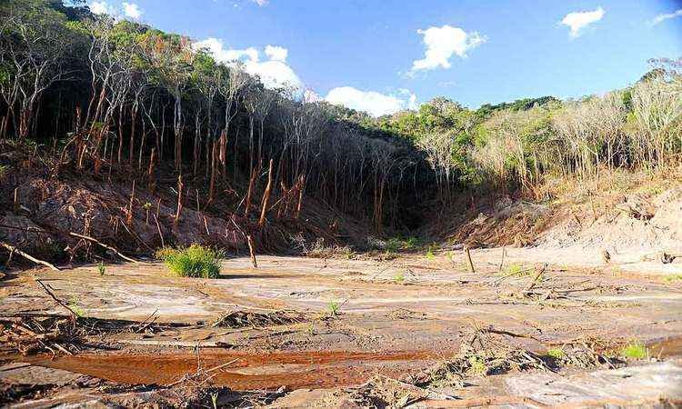 Erosões permanecem em áreas atingidas por lama de Fundão  - Leandro Couri/EM/D.A Press - 25/4/16