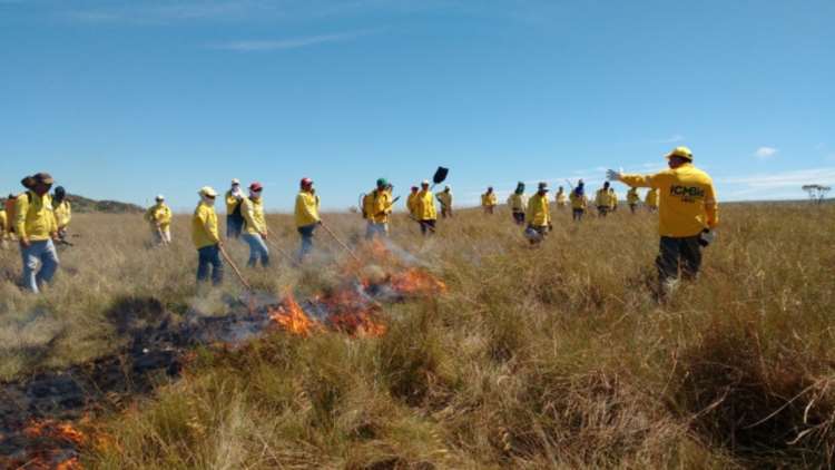 Número de incêndios em lotes vagos sobe 40% em Minas Gerais - PNSC/ICMBio