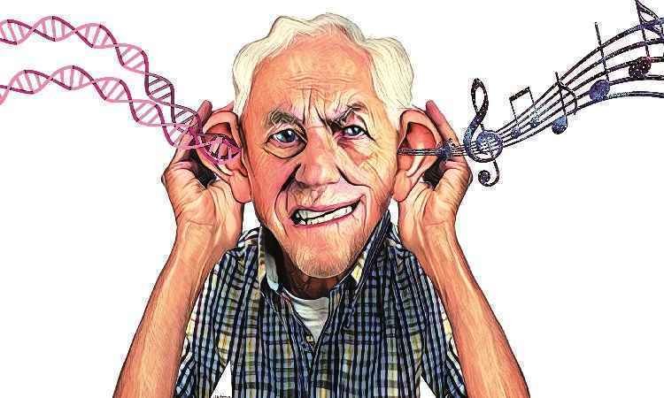 Identificado gene ligado à surdez - Valdo Virgo