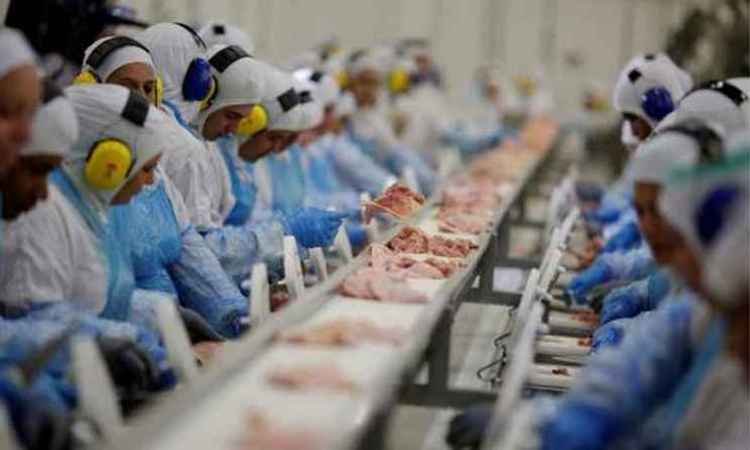 Exportações de carne suína e de frango caem no semestre, mas receitas disparam - Reprodução