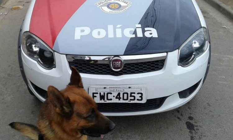 Cão policial impede fuga de traficante e ajuda a localizar 400 kg de drogas - Blog da Polícia Militar/Reprodução