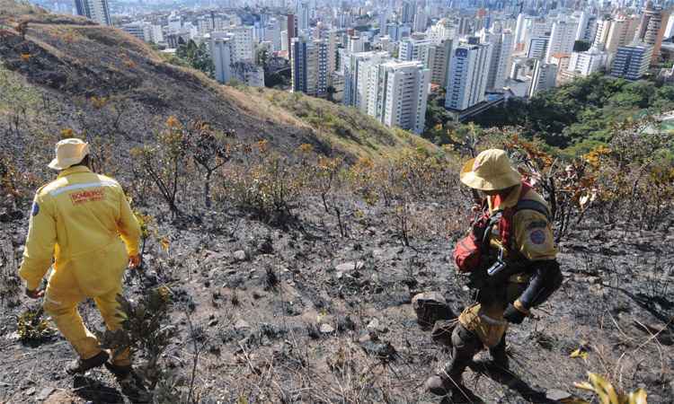Incêndio em mata de BH revela dificuldade de apontar responsáveis pela devastação - Leandro Couri/EM/DA Press
