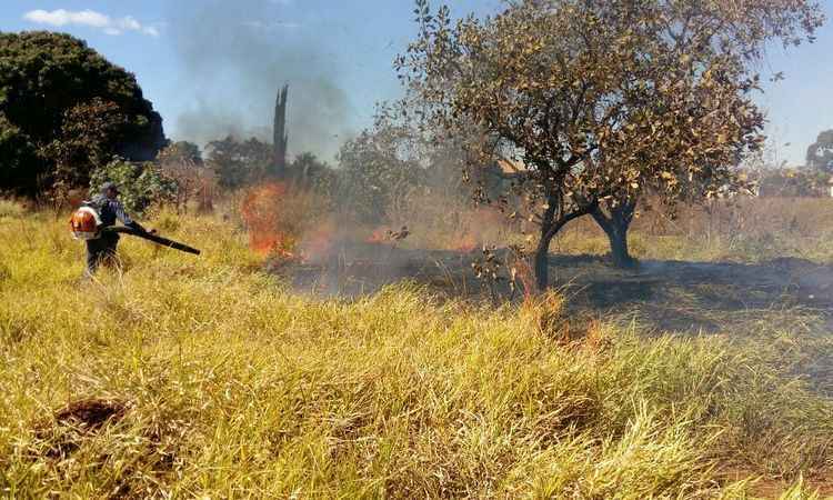 Incêndios em matas mobilizaram militares do Corpo de Bombeiros em dia seco - Corpo de Bombeiros/Araguari/Divulgação
