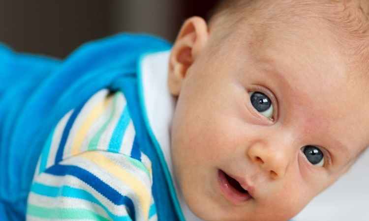 Brasileiros preferem importar sêmen de doadores de olhos azuis, revela Anvisa - pxhere.com