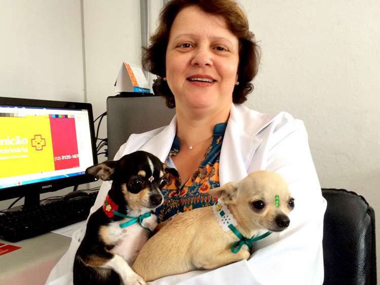 Dra. Monique Rodrigues, fundadora da Clinicão, fará palestra na Peth South América - Dino