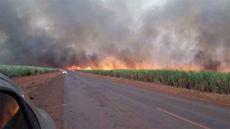 Incêndio em canaviais fecha rodovia no Triângulo Mineiro - Divulgação/Corpo de Bombeiros-MG